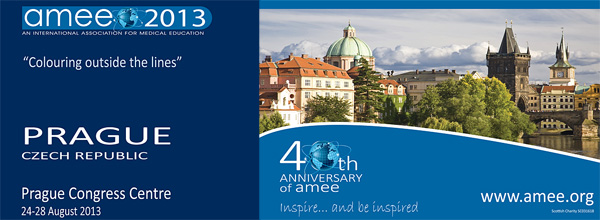 AMEE 2013